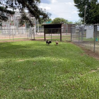 Riverside Dog Park